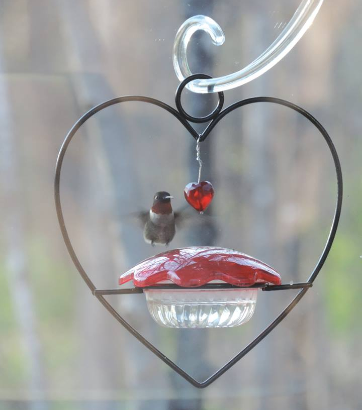 Hummingbird Heart Feeder 2/Pack